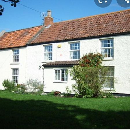 Millbatch Farm Bed & Breakfast Glastonbury Dış mekan fotoğraf