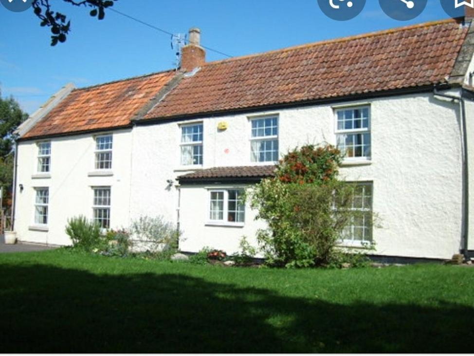 Millbatch Farm Bed & Breakfast Glastonbury Dış mekan fotoğraf