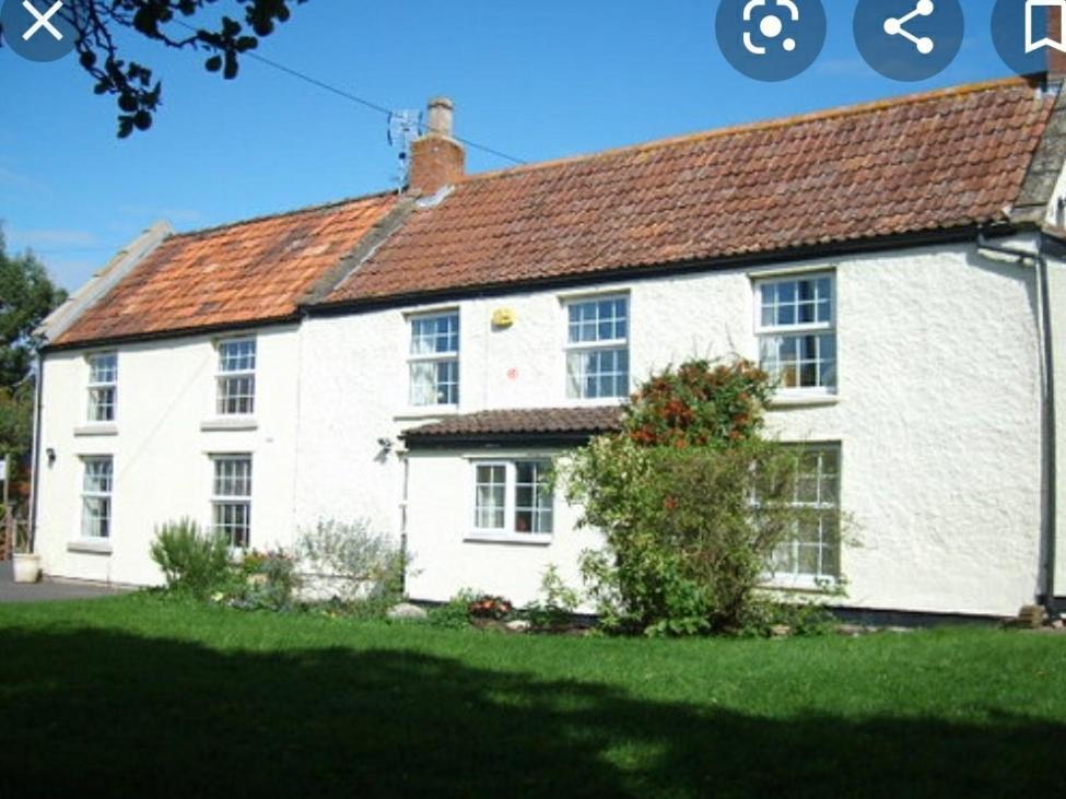 Millbatch Farm Bed & Breakfast Glastonbury Dış mekan fotoğraf
