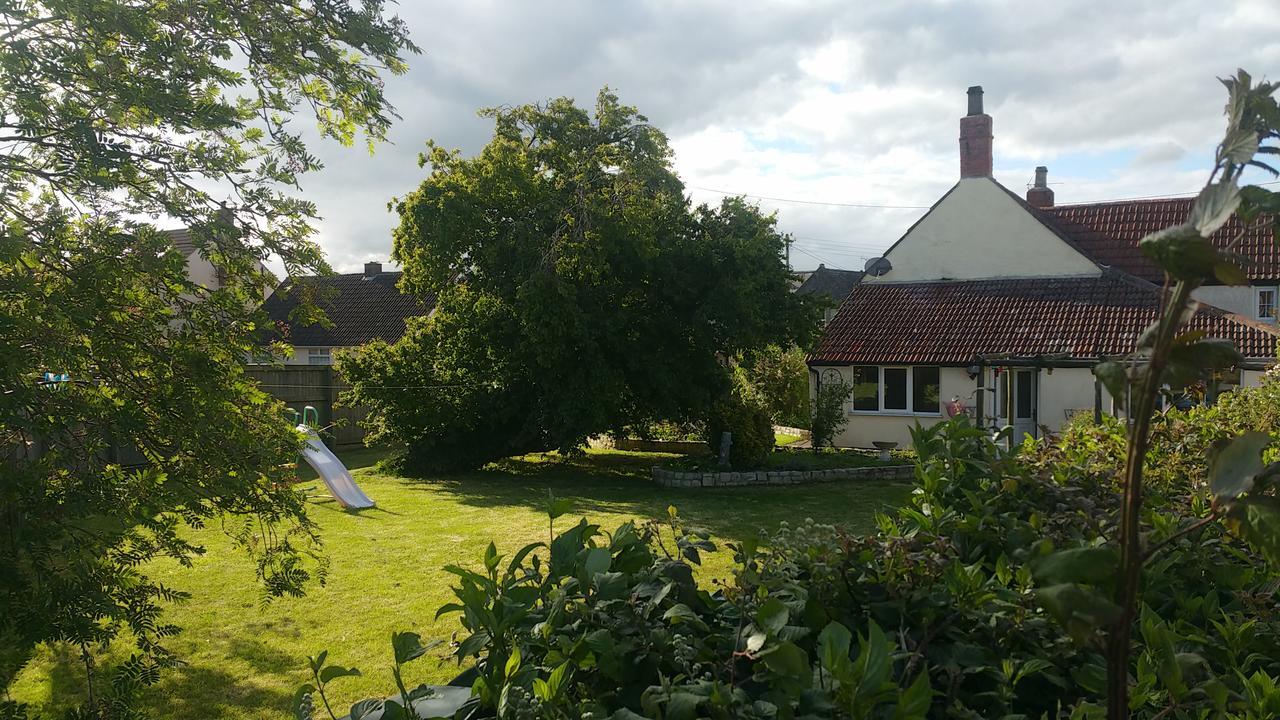 Millbatch Farm Bed & Breakfast Glastonbury Dış mekan fotoğraf